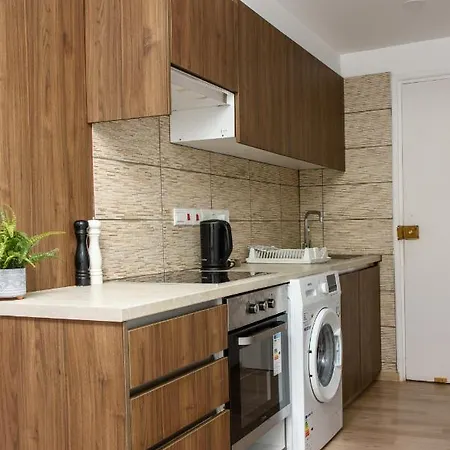 Valdivian Flat 18 דירה *