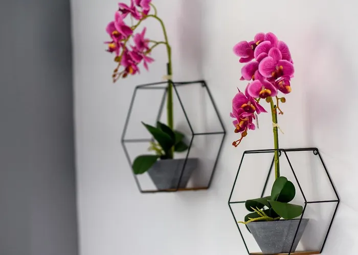 Valdivian Flat 18 Apartment Larnaca