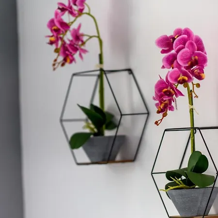 Valdivian Flat 18 Apartment Larnaka