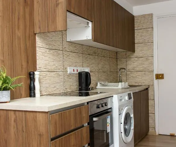 Valdivian Flat 18 Appartamento *